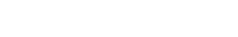 zynelogo-footer
